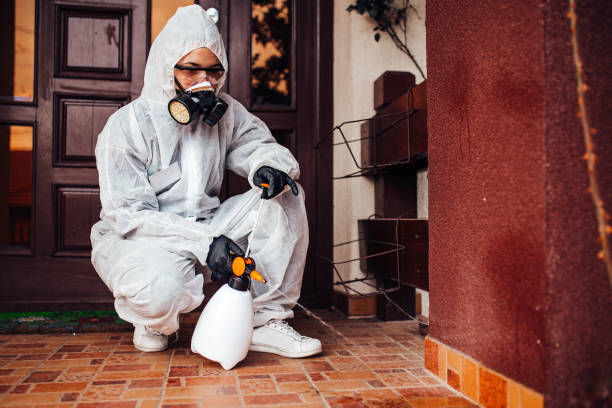Reliable Mosquito Control contractor in Cos Cob, CT by Show Me Pest Control