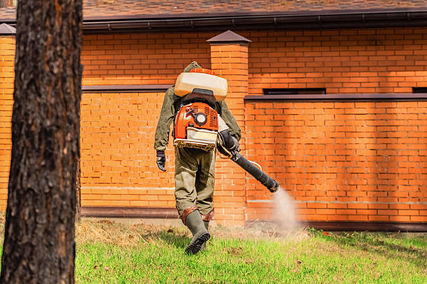 Top rated local Mosquito Control specialists in Cos Cob, CT
